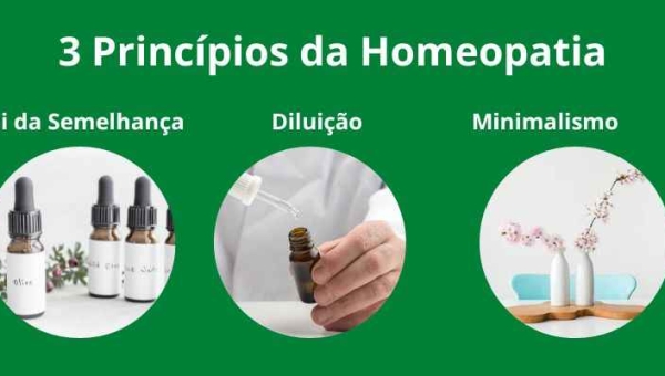 Saiba Quais são os 3 Princípios da Homeopatia